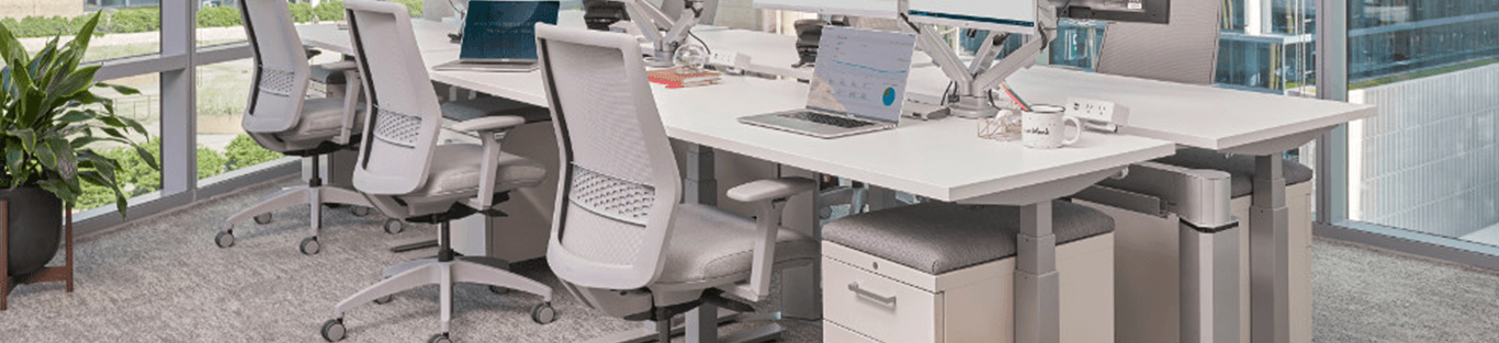 Lyric Ergonomic Office Chair Task Office Chair From Hni India